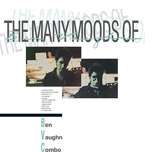 Ben Vaughn Combo - The Many Moods Of Ben Vaughn Combo [VINYL]