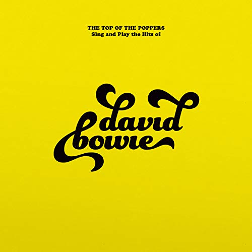 The Top Of The Poppers - Sing And Play The Hits Of David Bowie [VINYL]