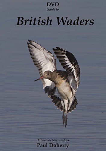 British Waders [DVD]