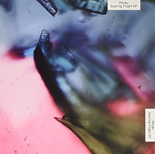 Perdu - Soaring Flight [VINYL]