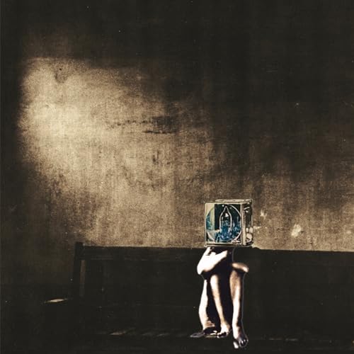 The Polyphonic Spree - Salvage Enterprise [VINYL]