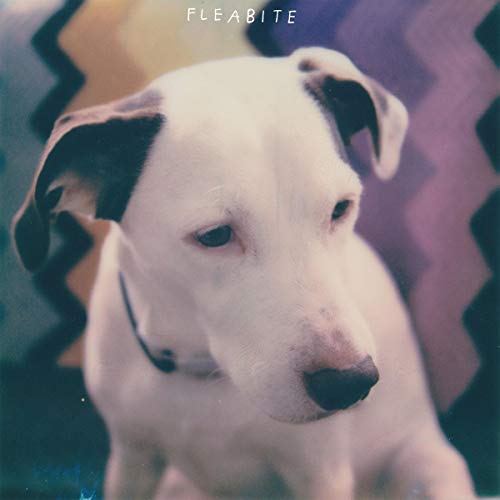 A white dog with black ears and spots gazes to the right.