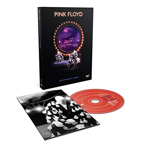 Delicate Sound Of Thunder [DVD]