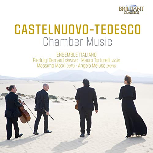 "CD cover featuring four musicians in black on a sandy landscape."
