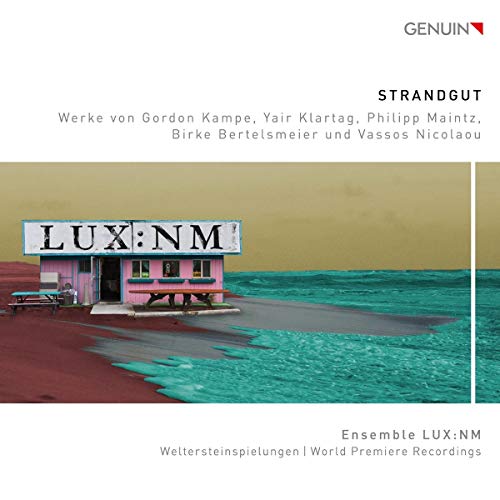 "CD cover featuring a pink beach hut with 'LUX:NM' sign, on a red and teal shore."