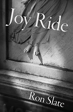 Joy Ride (Carnegie Mellon University Press Poetry)