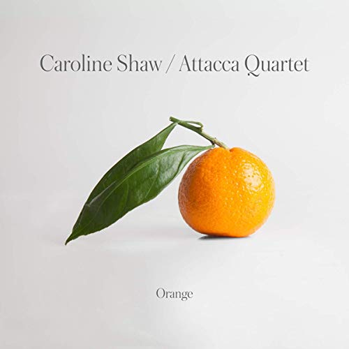 "Album cover featuring an orange with leaves on a white background."