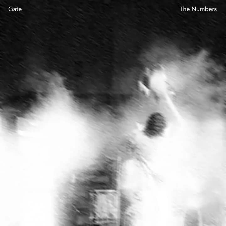 Various - The Numbers [VINYL]