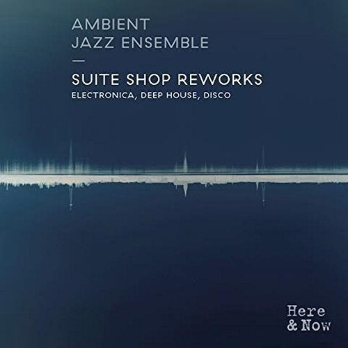 "Album cover with dark blue background, white text, and sound wave design at the bottom."