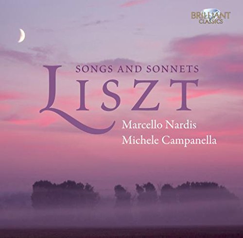 "CD cover with purple sky, trees, and 'LISZT' in large purple text."