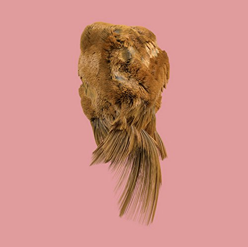 The image depicts a vinyl record sleeve on a pink background. Alt text: Brown vinyl record sleeve against a pink background.