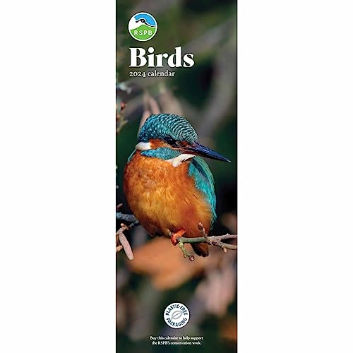 RSPB Birds Slim Calendar 2024