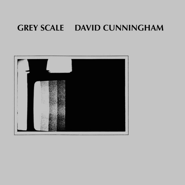 Various - Grey Scale [VINYL]