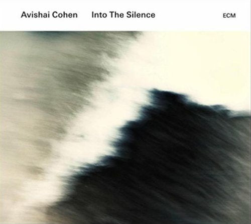"Album cover with abstract, blurred image and text 'Avishai Cohen - Into The Silence'."