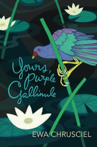 Yours, Purple Gallinule