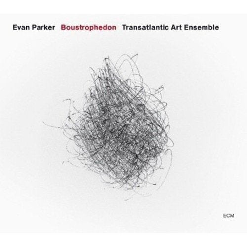 "Album cover with abstract scribbles, artist and title text on a white background."