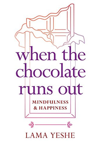 When the Chocolate Runs Out: Mindfulness and Happiness