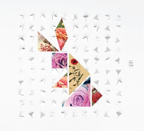 A white square with cut-out triangles and a floral pattern in the center.