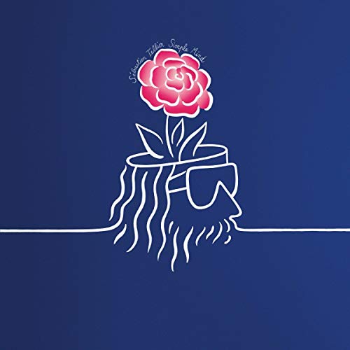 Sebastien Tellier - SIMPLE MIND [VINYL]