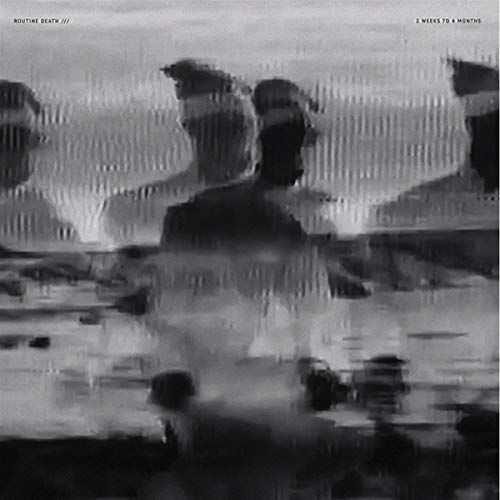 Routine Death - 2 Weeks To 4 Months [VINYL]