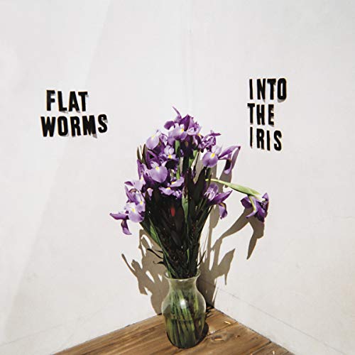 Flat Worms - Into The Iris [CD]