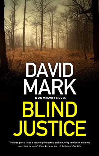 Blind Justice: 10 (A DS McAvoy novel)