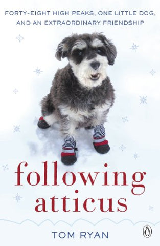 Following Atticus: How a little dog led one man on a journey of rediscovery to the top of the world