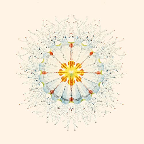 Charlie Charlie - Litte Things [VINYL]
