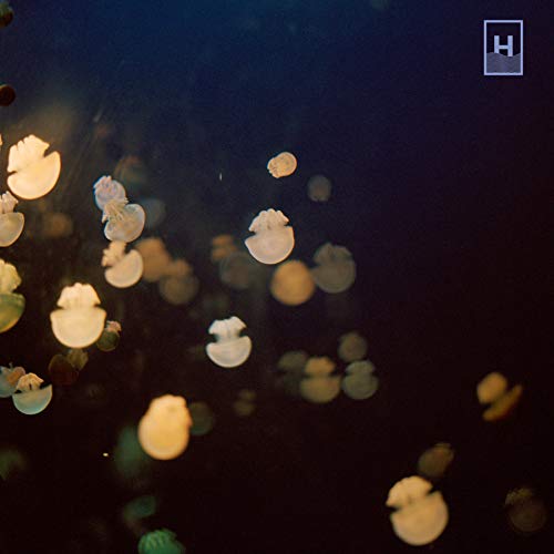 The image depicts a dark background with blurry, glowing jellyfish-like objects. Alt text: Blurry, glowing orbs on a dark background.