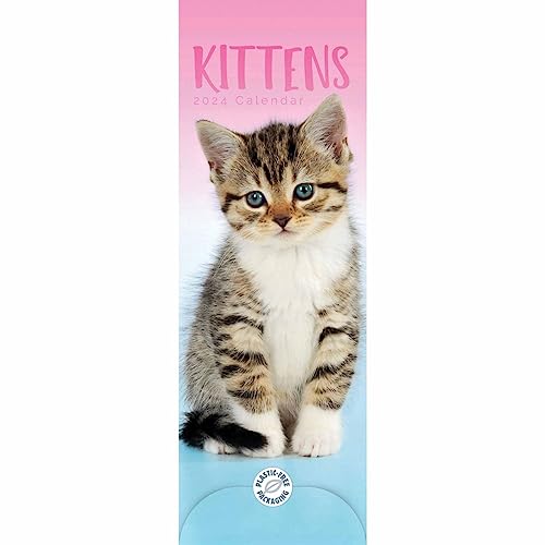 Kittens Slim Calendar 2024