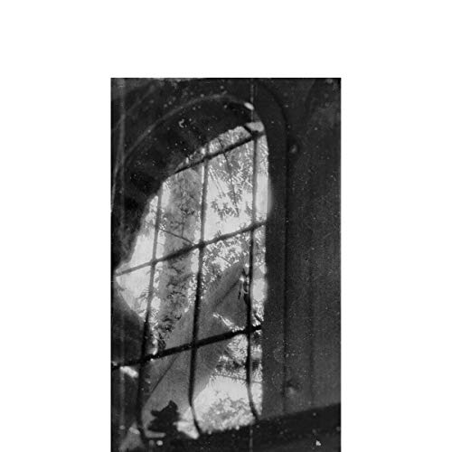 Various - Ligeia [VINYL]