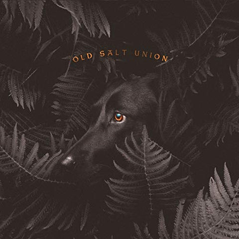 Old Salt Union - Where The Dogs Don't Bite [CD]