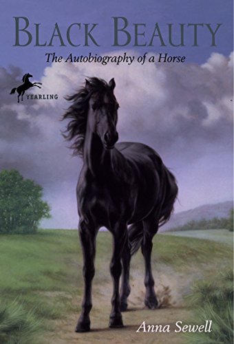 BLACK BEAUTY