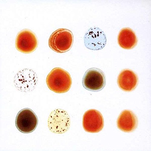 Twelve vinyl records in various colors, arranged in three rows of four, on a white background.