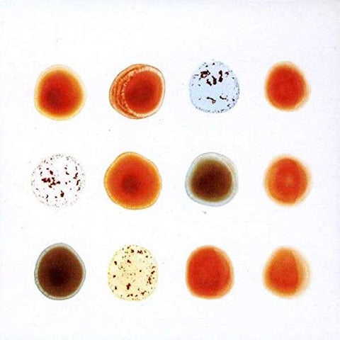 Peter Gabriel - Scratch My Back and I'll Scratch Yours [180 gm 2LP vinyl] [VINYL]