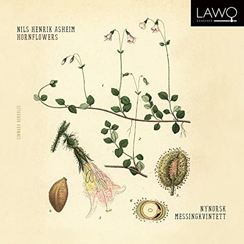 CD cover featuring botanical illustrations of a plant with flowers on a beige background.
