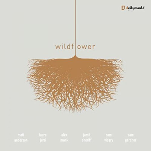 Matt Andersons Wildflower Sext - Wildflower [CD]
