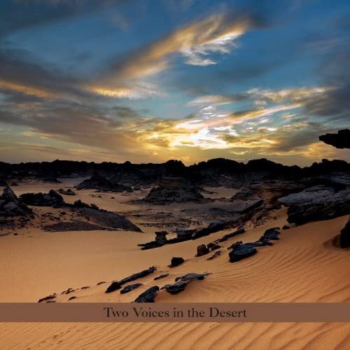 Burton Robinson - Two Voices In the Desert [CD]
