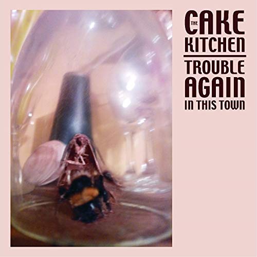 A black vinyl record with a pink album cover featuring a moth in a jar.