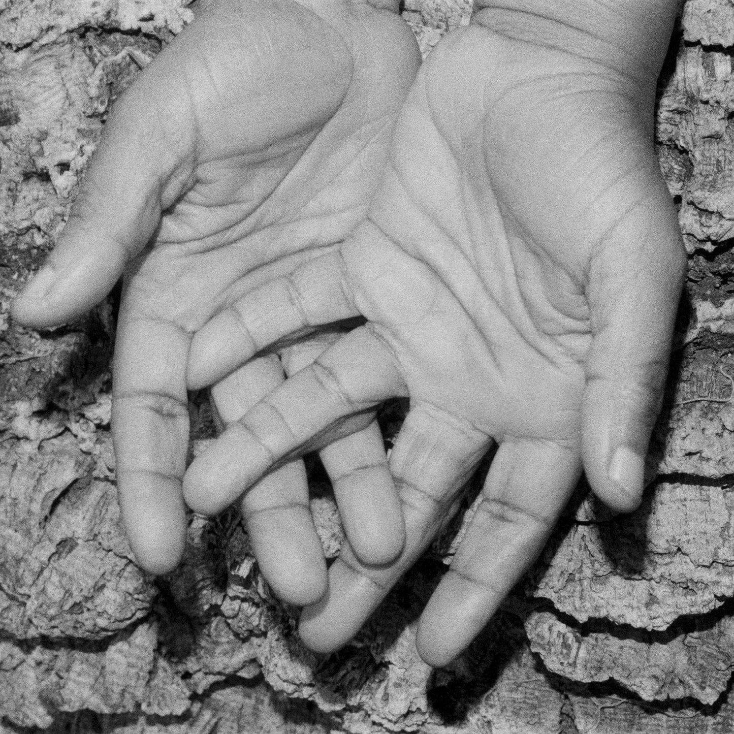 Kokoroko - Could We Be More Remixes [VINYL]