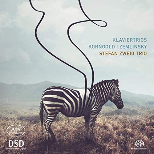 "CD cover with a zebra and abstract black line art in a field."