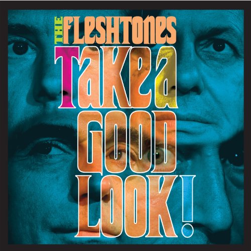 "Album cover with close-up faces and 'The Fleshtones Take a Good Look!' text."