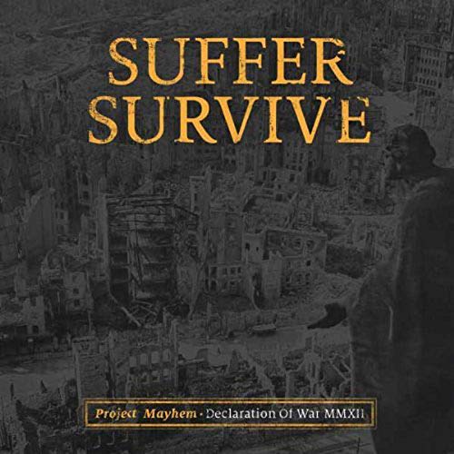 Various - Project Mayhem Declaration Of War [VINYL]