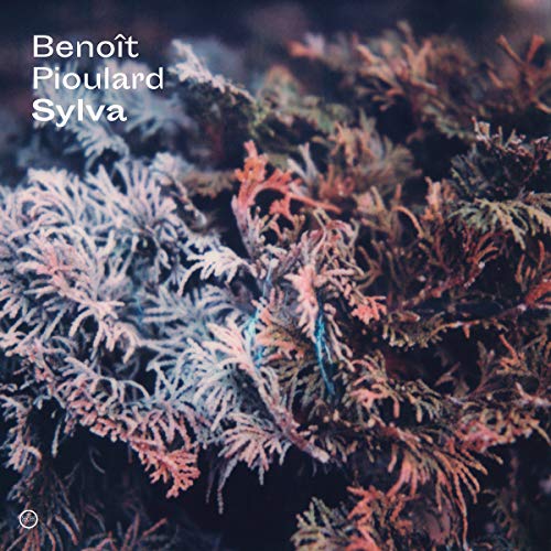 The album cover features a close-up of foliage with pink and blue hues.
