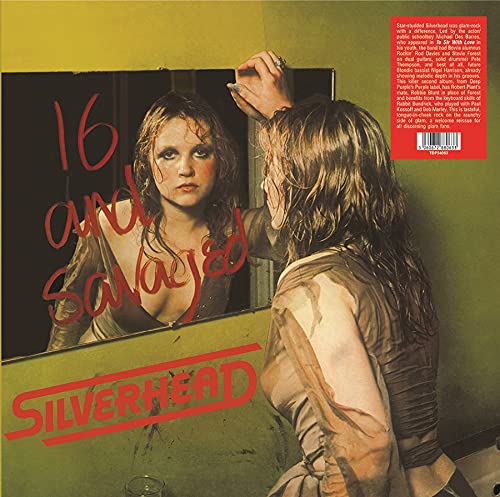 Various - 16 & Savaged [VINYL]