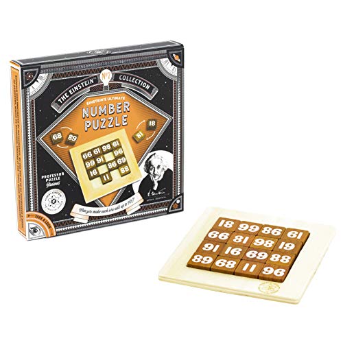 Professor Puzzle 3D Brain Teaser Puzzle - The Einstein Collection Ultimate Number Puzzle, Brain Game