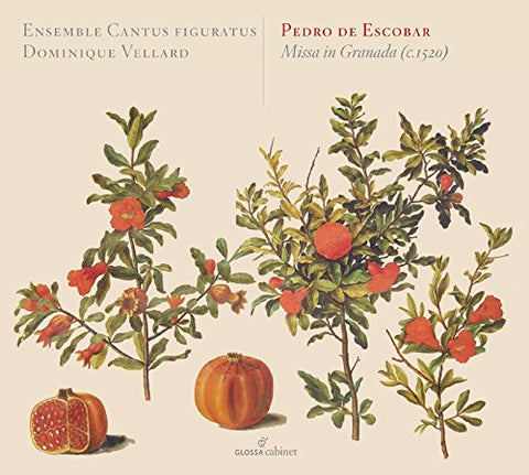 Vellard/cantus Figuratus - Pedro de Escobar - Missa in Granada (Missa 4vv) [CD]