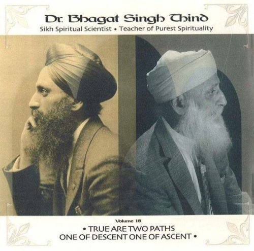 Various - There are Two Paths, One of Descent, One of Ascent: v. 18 [CD]