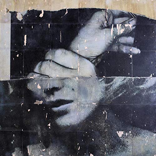 Telepathy - Burn Embrace (LP) [VINYL]