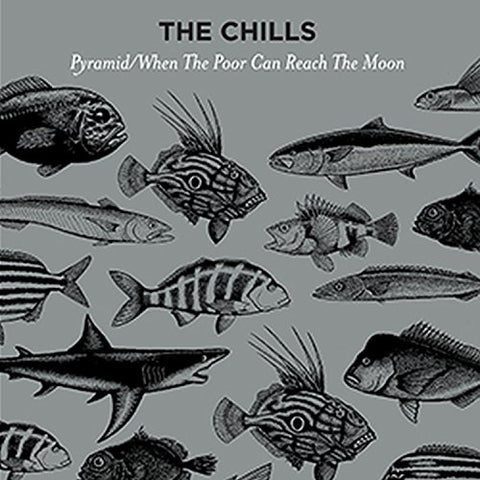 The Chills - Pyramid [VINYL]